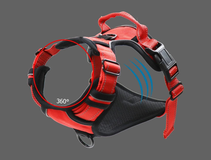 Pet Harness