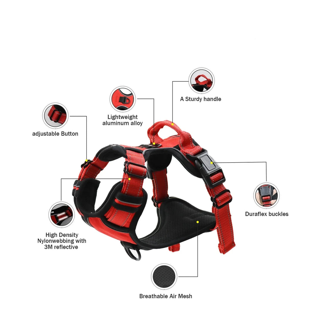 Pet Harness