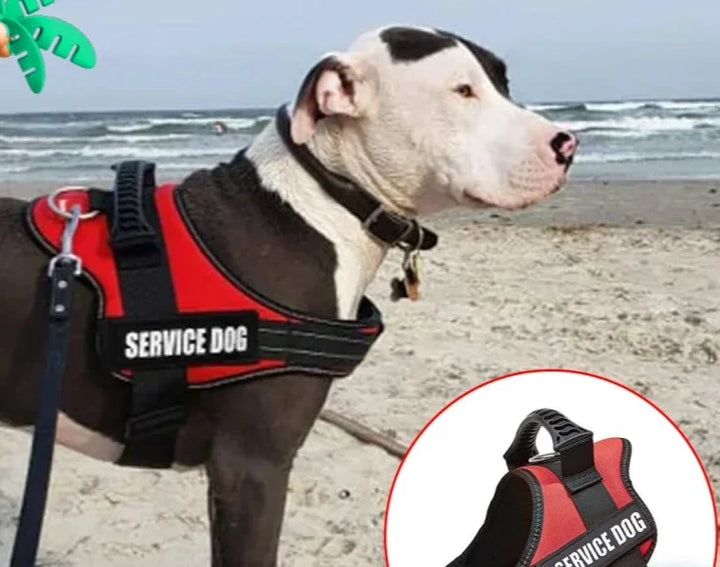 Classic Pet Harness